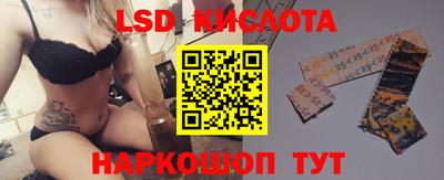 прущие грибы Канаш