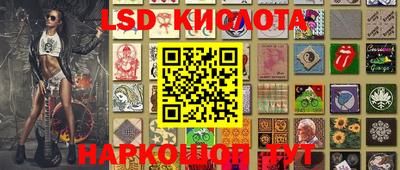 прущие грибы Канаш
