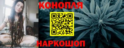 прущие грибы Канаш