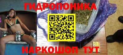 прущие грибы Канаш