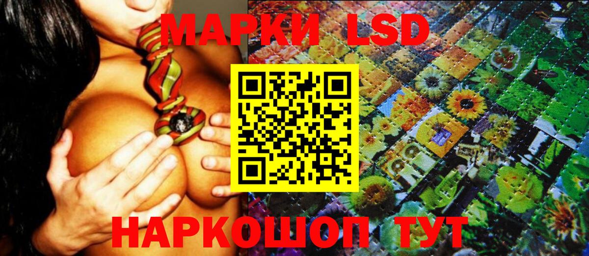 Марки 25I-NBOMe 1,5мг Лесной